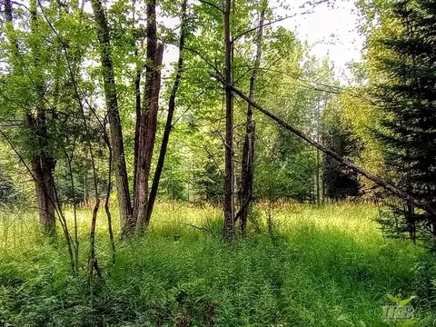 Exterior - 5341 N M-30, Gladwin, MI 48624 photo 39 of 61
