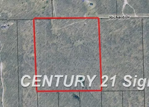Richard, West Branch, MI 48661