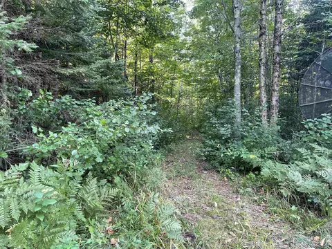 Exterior - N9896 River, Ramsay, MI 49959 photo 9 of 14