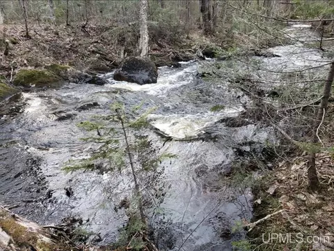 Other - N9896 River, Ramsay, MI 49959 photo 11 of 16