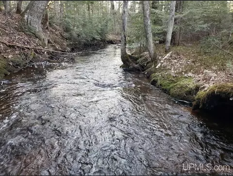 View/Area - N9896 River, Ramsay, MI 49959 photo 1 of 1