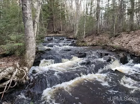 Other - N9896 River, Ramsay, MI 49959 photo 13 of 16