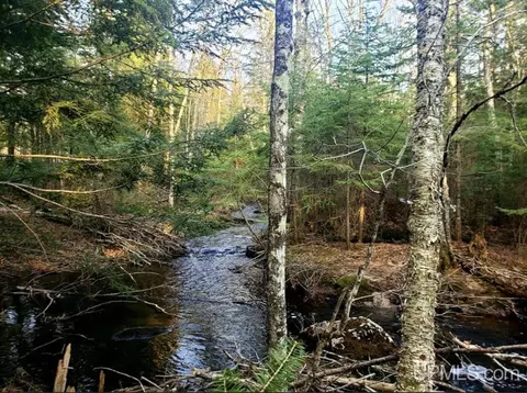 Other - N9896 River, Ramsay, MI 49959 photo 8 of 16