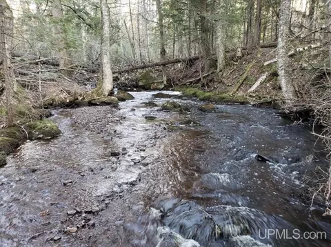 Other - N9896 River, Ramsay, MI 49959 photo 10 of 16