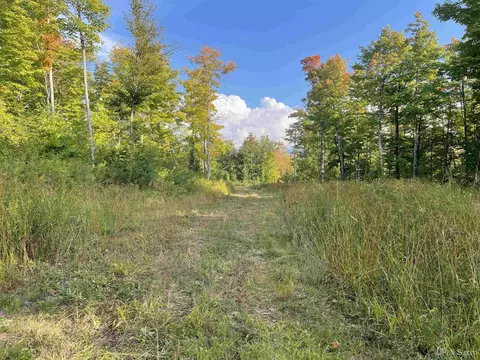 Other - N9896 River, Ramsay, MI 49959 photo 6 of 16