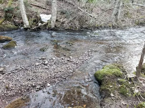 Other - N9896 River, Ramsay, MI 49959 photo 9 of 16