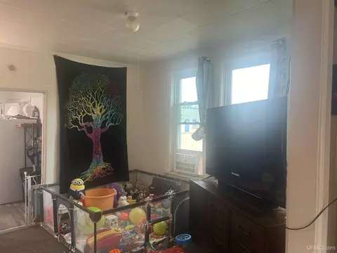 Other - 313-315 E Pearl, Ishpeming, MI 49849 photo 3 of 33