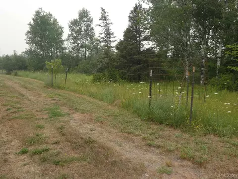 Exterior - 14110 N Malnar, Ewen, MI 49925 photo 6 of 8