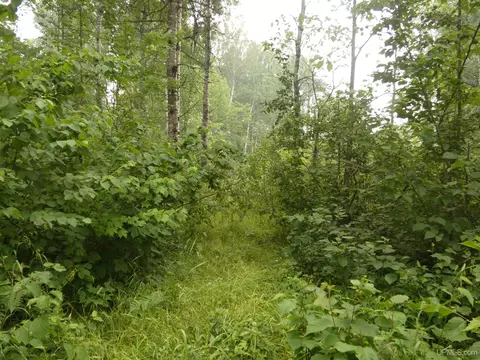 Exterior - 14110 N Malnar, Ewen, MI 49925 photo 8 of 8