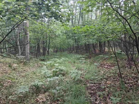 tbd Hill, Vulcan, MI 49892 photo 3