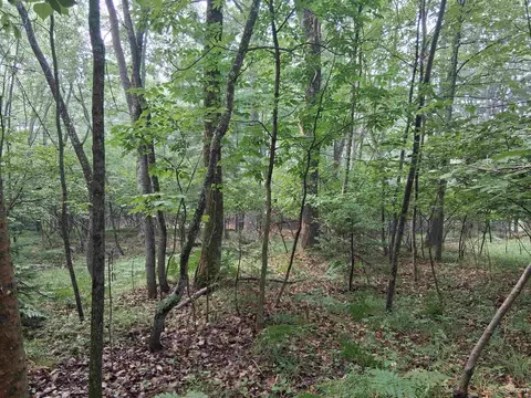 tbd Hill, Vulcan, MI 49892 photo 10