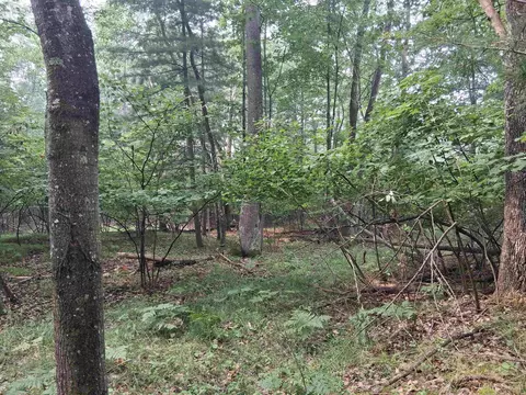 tbd Hill, Vulcan, MI 49892 photo 6