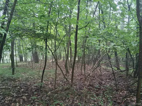tbd Hill, Vulcan, MI 49892 photo 9