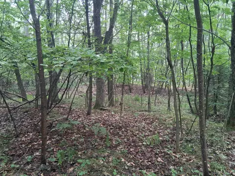 tbd Hill, Vulcan, MI 49892 photo 4