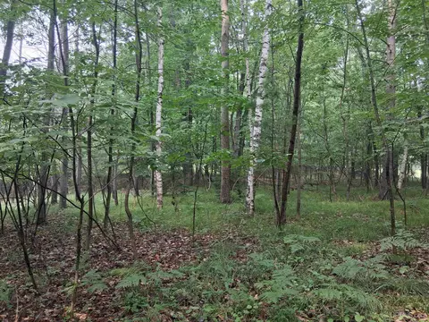 tbd Hill, Vulcan, MI 49892 photo 8