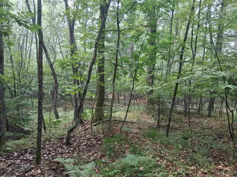 tbd Hill, Vulcan, MI 49892 photo 7