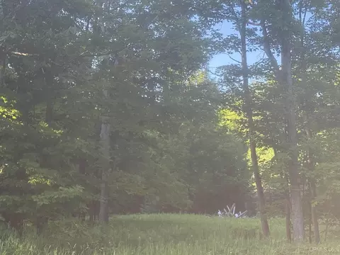tbd M69, Sagola, MI 49881