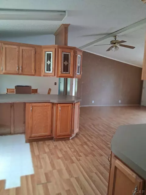 Other - 1022 Davis, Adrian, MI 49221 photo 1 of 3