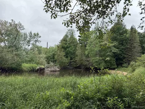 742 Beaver Vw, Germfask, MI 49836 photo 8