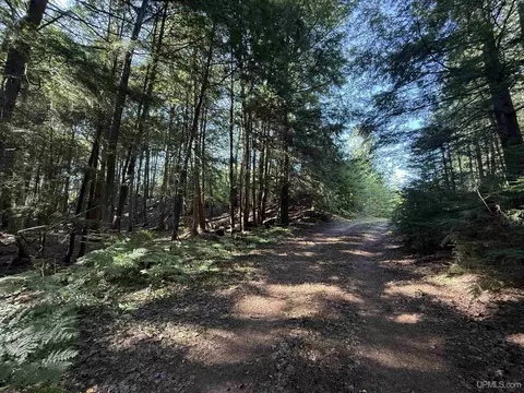 742 Beaver Vw, Germfask, MI 49836 photo 12