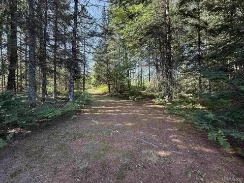 742 Beaver Vw, Germfask, MI 49836 photo 14