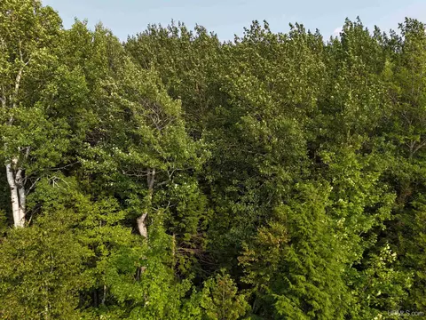 tbd 5 Bayshore, L'anse, MI 49946 photo 16
