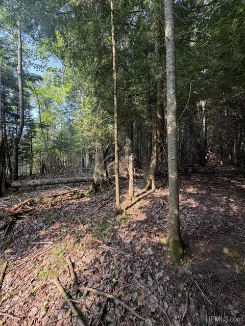 tbd 5 Bayshore, L'anse, MI 49946 photo 6