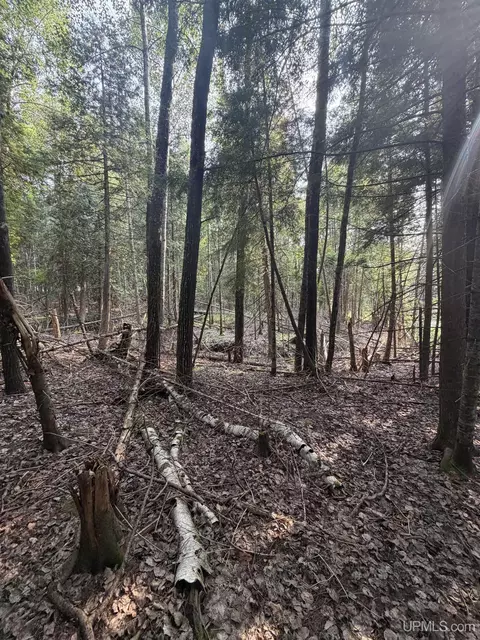 tbd 5 Bayshore, L'anse, MI 49946 photo 20