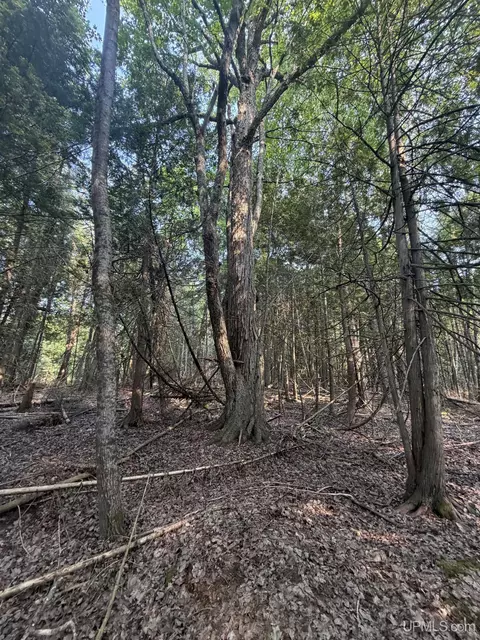 tbd 5 Bayshore, L'anse, MI 49946 photo 22
