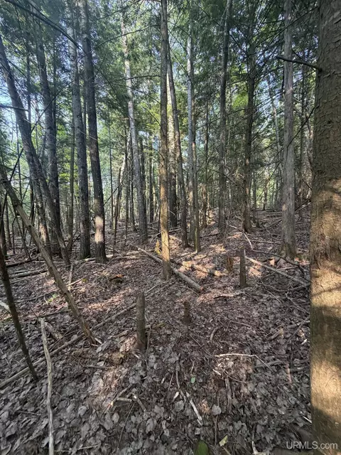 tbd 5 Bayshore, L'anse, MI 49946 photo 21