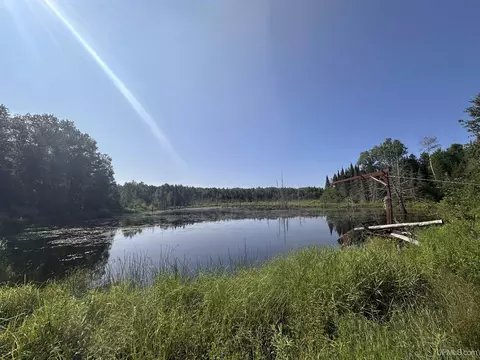 w6425 Leeman Road, Felch, MI 49881
