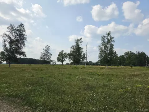 tbd Hope Mine, Crystal Falls, MI 49920
