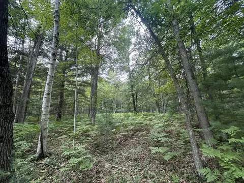Exterior - 866 Lakeshore, Gladwin, MI 48624 photo 19 of 26