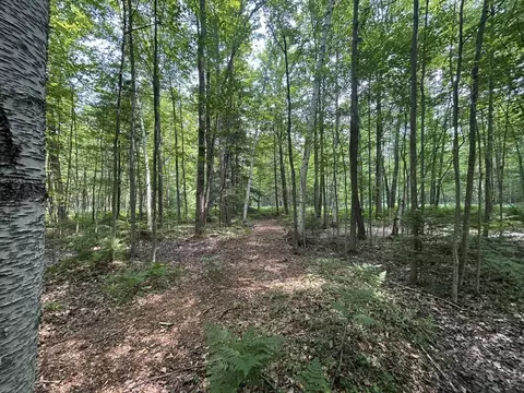 Exterior - 866 Lakeshore, Gladwin, MI 48624 photo 20 of 26