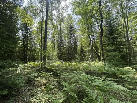 Exterior - 866 Lakeshore, Gladwin, MI 48624 photo 15 of 26
