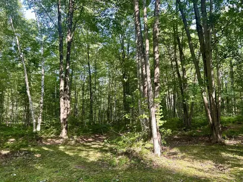 Exterior - 866 Lakeshore, Gladwin, MI 48624 photo 5 of 26