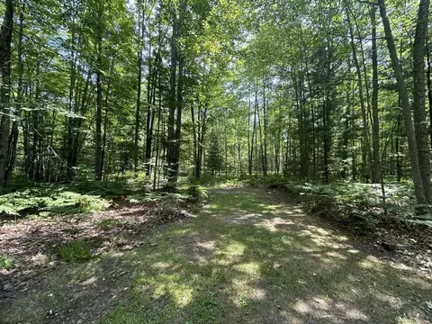 Exterior - 866 Lakeshore, Gladwin, MI 48624 photo 11 of 26