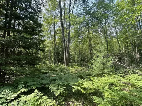 Exterior - 866 Lakeshore, Gladwin, MI 48624 photo 12 of 26