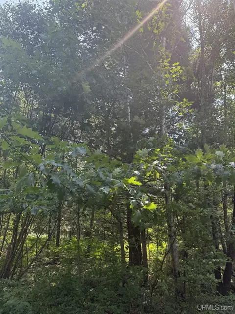 545 S Rice Lk, Gwinn, MI 49841
