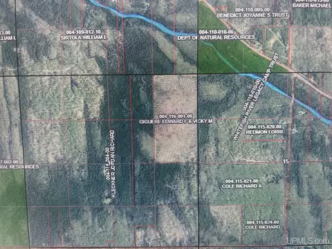 tbd Diffin, Trenary, MI 49891