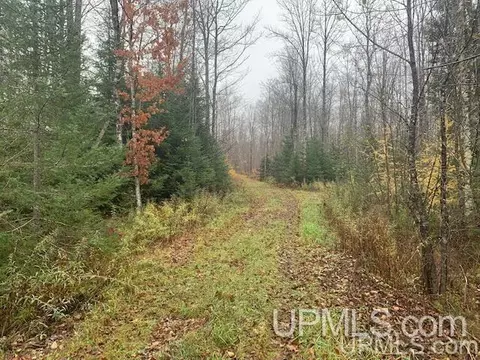 tbd Diffin, Trenary, MI 49891 photo 2
