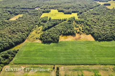 View/Area - 22335 Ederer, Merrill, MI 48637 photo 7 of 17