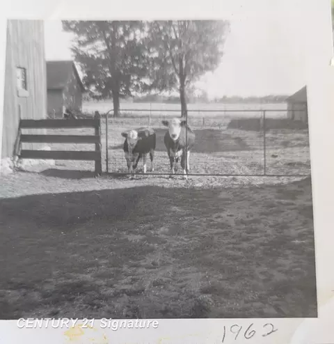 Other - 22335 Ederer, Merrill, MI 48637 photo 17 of 18