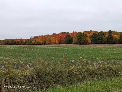 Other - 22335 Ederer, Merrill, MI 48637 photo 18 of 18