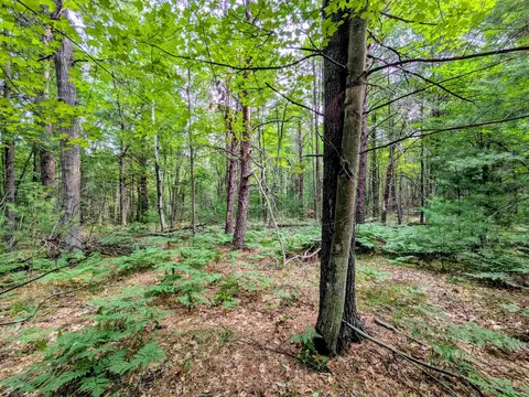 Hillside, Alger, MI 48610 photo 2