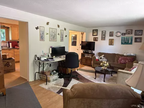 Living - 311 Chestnut, Munising, MI 49862 photo 1 of 3