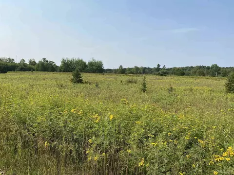 tbd Willet, Republic, MI 49879