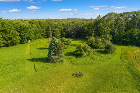 Exterior - 4248 Procunier, Mikado, MI 48745 photo 24 of 24