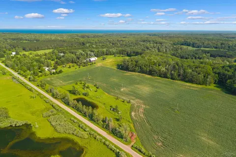 View/Area - 4248 Procunier, Mikado, MI 48745 photo 3 of 5