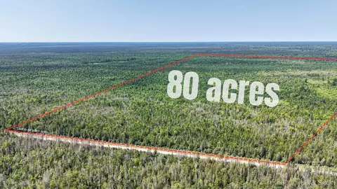 tbd E N Co Rd 415, Mcmillan, MI 49853